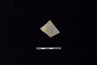 陶片藏品圖，第1張